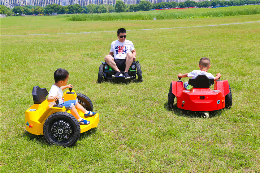 Травяной бампер Автомобиль